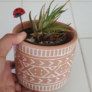 New! Cement Aztec plant pot